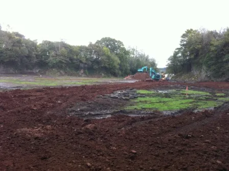 Brofiscin Quarry - Capping Scheme