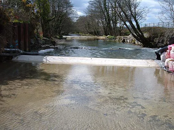 Brynmenyn Weir Refurbishment