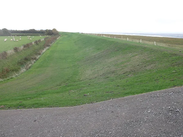 Construction of Earthworks Portland Grounds