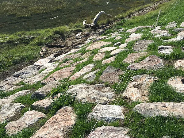 Construction of Earthworks Portland Grounds