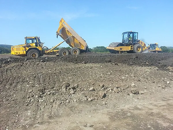 Lower Swansea Vale FAS