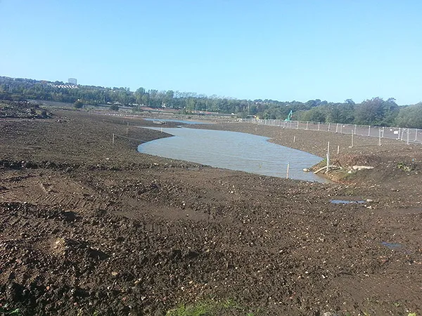 Lower Swansea Vale FAS