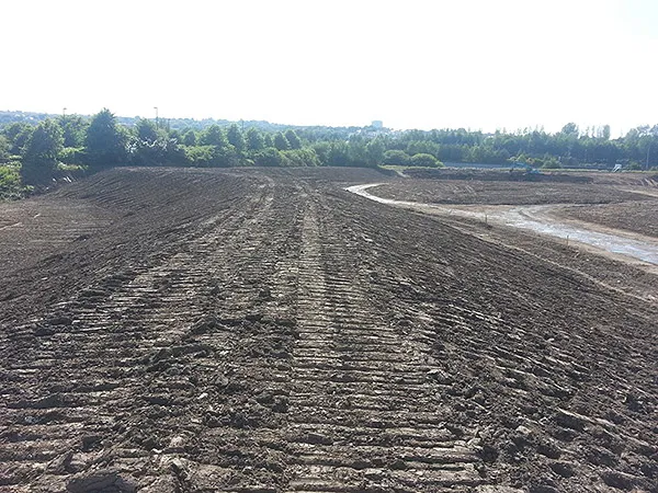 Lower Swansea Vale FAS