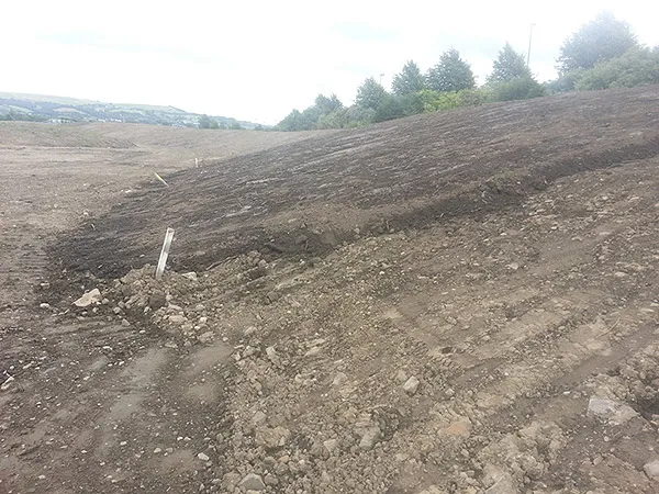 Lower Swansea Vale FAS