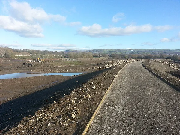 Lower Swansea Vale FAS