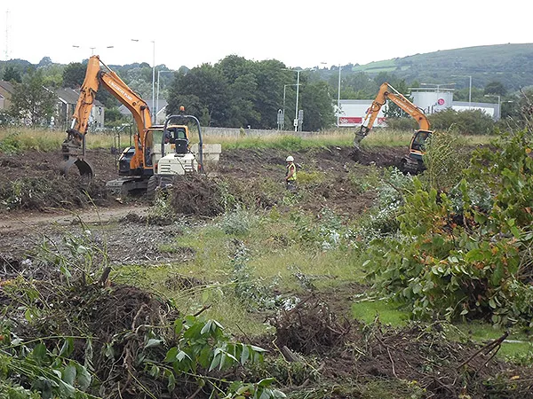 Lower Swansea Vale FAS