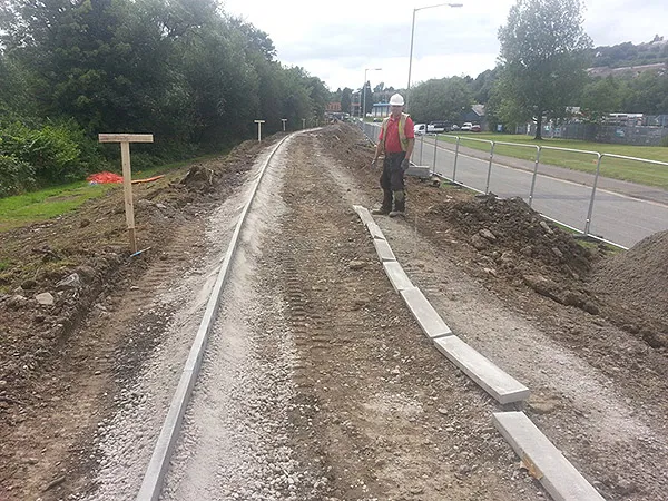 Lower Swansea Vale FAS