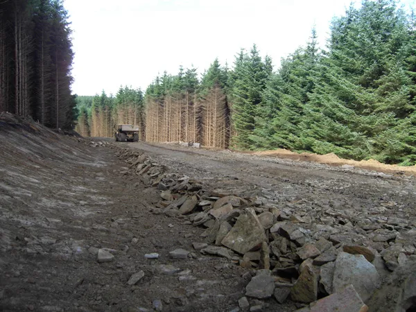 Mynydd Y Ton - Forestry Access Roads