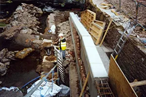 Hampton Court Fish Pass