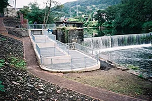 Treforest Fish Pass